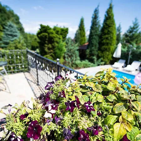 Garden Club * Sarajevo